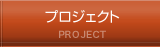 プロジェクト